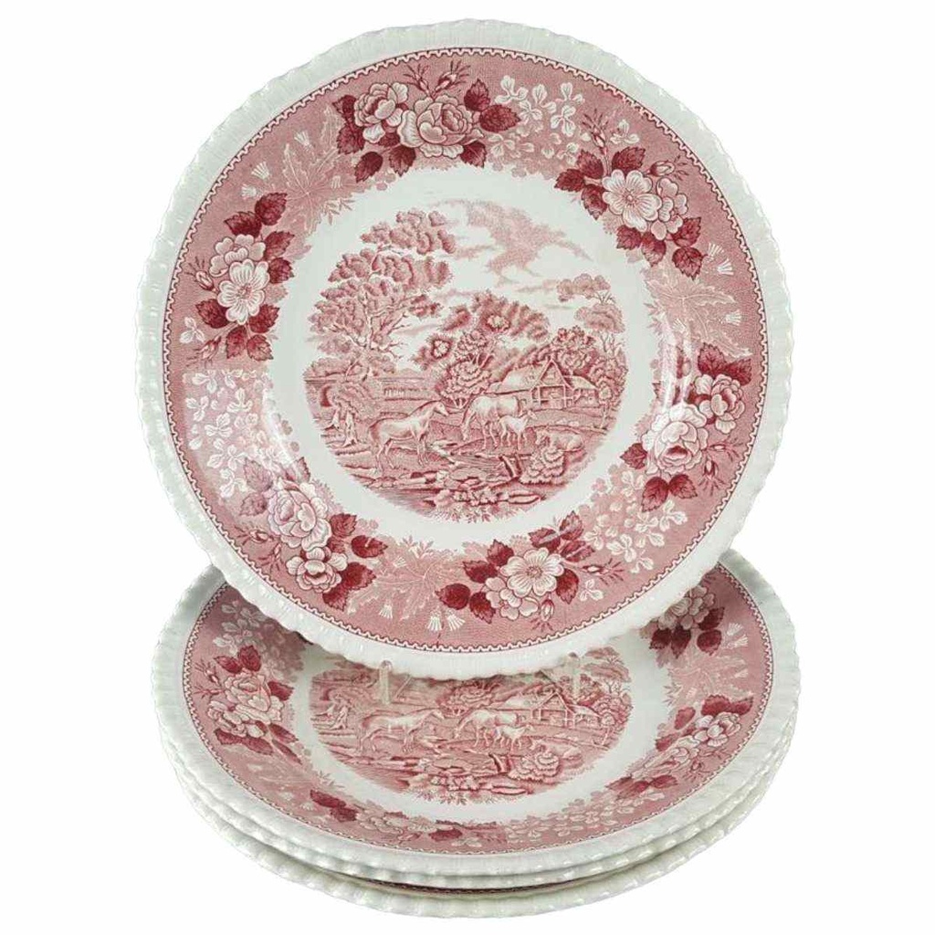 4er Set Suppenteller 26 cm Adams English Scenic Rot gebraucht - akzeptabel
