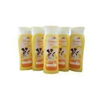Shampoos & Waschartikel