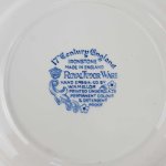 Speiseteller 26,2 cm Royal Tudor 17 th Century England Blau gebraucht - sehr gut