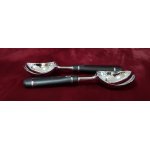 6er Set Eisportionierer Eislöffel France 2 tlg