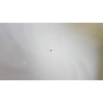 Schüssel Ragoutterrine Deckelschüssel 1,7 L Graf von Henneberg Edelweiß gebraucht - sehr gut