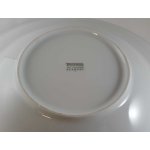 Speiseteller Pastateller 29,8 cm Thomas Porzellan Grün gebraucht - neuwertig neu ohne OVP