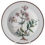 Suppenteller 22,2 cm Villeroy & Boch Botanica gebraucht - gut
