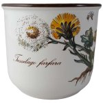 Kaffeetasse Tasse Villeroy & Boch Botanica
