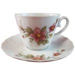 Kaffeetasse mit Untertasse Tasse & Winterling Kirchenlamitz Rot Rotrosa Blume Relief Form