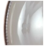 Speiseteller Essteller 24,6 cm Eschenbach Alte Formen Goldbordüre W2456 gebraucht - akzeptabel