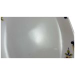 Servierplatte Speiseplatte Fleischplatte Steakplatte 32,2x21,7 cm Mitterteich Form 890 blau grün rot Blumendekor Blumen gebraucht - akzeptabel