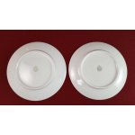 2er Set Kuchenteller Dessertteller Frühstücksteller 100 Jahre 20,3 cm Bareuther Waldsassen blau Band gebraucht - akzeptabel