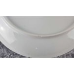 Wandteller Fürstenberg Sonstige gebraucht - akzeptabel