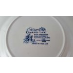 Kuchenteller Dessertteller Frühstücksteller 20,1 cm Myott Country Life Blau gebraucht - gut