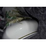 Milchkännchen Winterling Kirchenlamitz Farn Thelypteris palustris Grün gebraucht - sehr gut