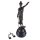 Bronzeskulptur Bronzefigur Justitia Richterin Recht Anwalt Schwert Waage