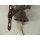 Wandglocke Türglocke Türklopfer Figürchen Gusseisen Frosch H 40 cm
