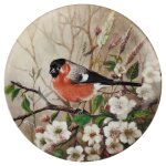 Wandteller 19,8 cm Tirschenreuth Unsere kleine Vogelwelt...