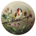 Wandteller 19,8 cm Tirschenreuth Unsere kleine Vogelwelt...