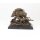 Bronzeskulptur Bronzefigur Hunde Greifen Wildschwein An
