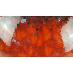 Vase Henkelvase W.Germany 38 cm Scheurich gebraucht -...