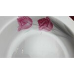6er Set Suppenteller Goldrand 23 cm Zeh Scherzer Rote Rose mit gebraucht - gut