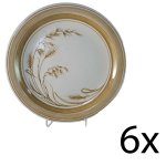 6er Set Speiseteller Essteller mikrowellengeeignet 24,5...