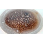 Kuchenteller Dessertteller 19,2 cm Zell am Harmersbach gebraucht - gut