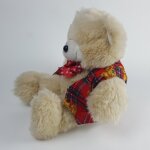 Plüschbär Teddybär 45 cm Keine Angabe gebraucht - gut