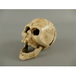 Totenkopf Flaschenöffner Eisen weiß H.5x7cm