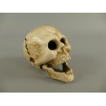 Totenkopf Flaschenöffner Eisen weiß H.5x7cm