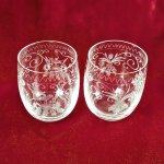 2er Set Schnapsgläser Pinnchen Schnapsglas Blumen Transparent gebraucht - sehr gut