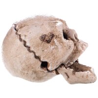 Flaschenöffner Totenkopf Altweiß Gusseisen