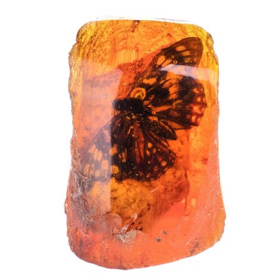 Figur Skulptur Resin Bernsteinimitat mit echtem Schmetterling