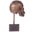 [LA-1822480] Bronzeskulptur Bronzefigur Totenkopf Bild 2