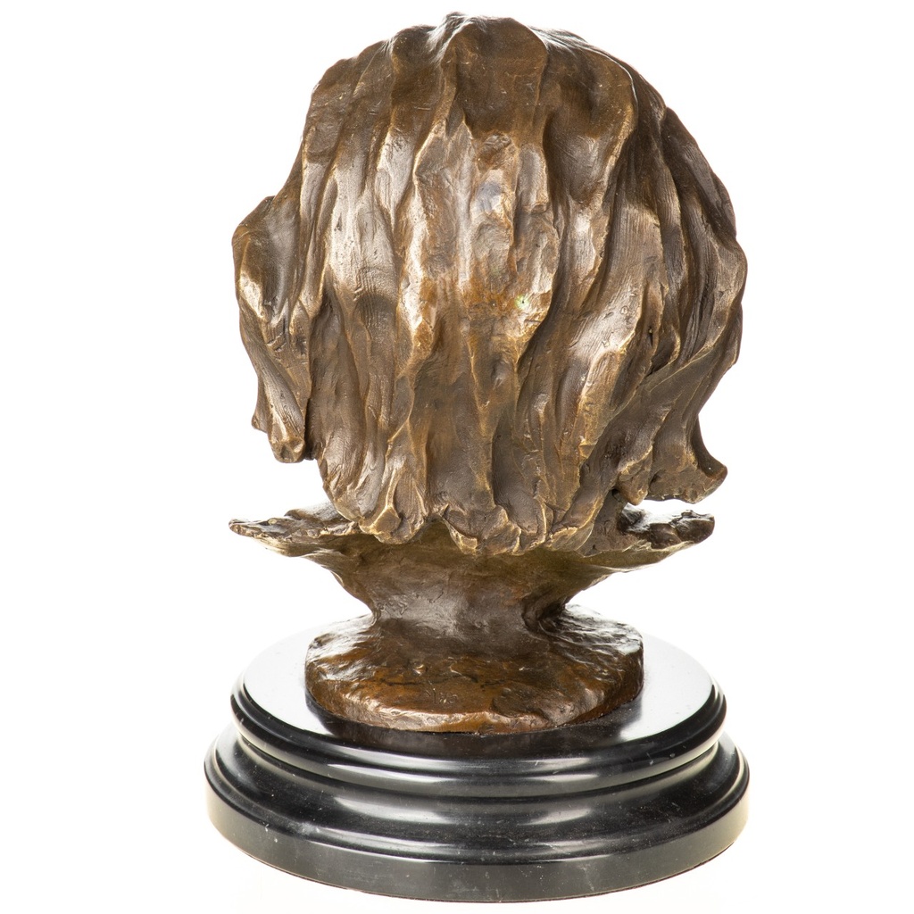 [LA-1822486] Bronzeskulptur Bronzefigur Büste Albert Einstein Bild 3