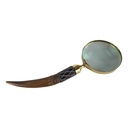 [LA-39826] Leselupe Handlupe Vergrößerungsglas Bein Messing #39826 Bild 4