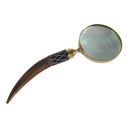 [LA-39826] Leselupe Handlupe Vergrößerungsglas Bein Messing #39826 Bild 5