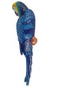 [LA-44466] Figur Skulptur Wanddeko Gusseisen Ara Blau-Gelb links Bild 3