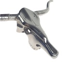 [LA-85417] Stierkopf Stier mit Hörner Design Wanddekoration Schädel Bulle Kuhkopf Alu Bild 4