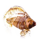 [LA-88130] Skulptur Glas Fisch Murano-Stil Bild 2