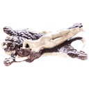 [LA-96846] Skulptur Figur Statue Bronzeskulptur Bronzefigur Bronze Weiblicher Akt auf Tigerfell farbig Bild 2