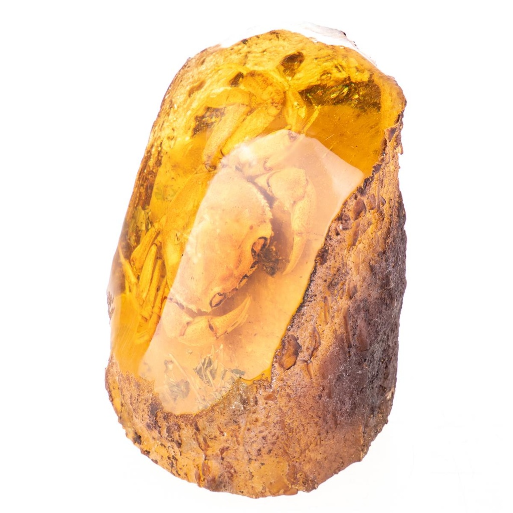 [LA-99172] Figur Skulptur Resin Bernsteinimitat mit echter Krabbe Bild 2