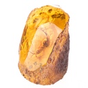 [LA-99172] Figur Skulptur Resin Bernsteinimitat mit echter Krabbe Bild 2