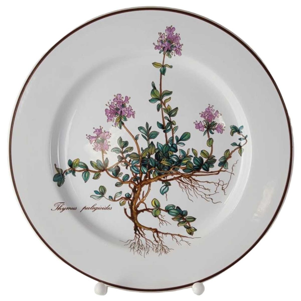 [45812834-3] Kuchenteller Dessertteller 21 cm Villeroy & Boch Botanica
