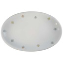 Servierplatte Speiseplatte Fleischplatte Steakplatte 31x21,2 cm Seltmann Weiden Liane Rautendekor 23559