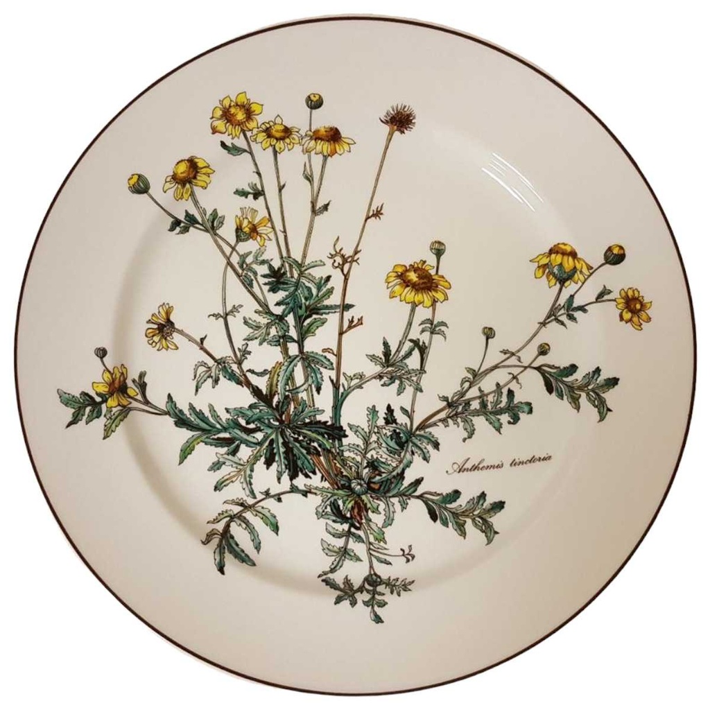 [4581488-1] Speiseteller Essteller 26,5 cm Villeroy & Boch Botanica II.Wahl Anthemis tinctoria II. Wahl