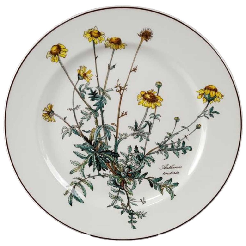 [45816934-1] Speiseteller Essteller 24,2 cm Villeroy & Boch Botanica I. Wahl