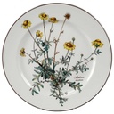 Speiseteller Essteller 24,2 cm Villeroy & Boch Botanica I. Wahl