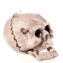 Flaschenöffner Totenkopf Altweiß Gusseisen
