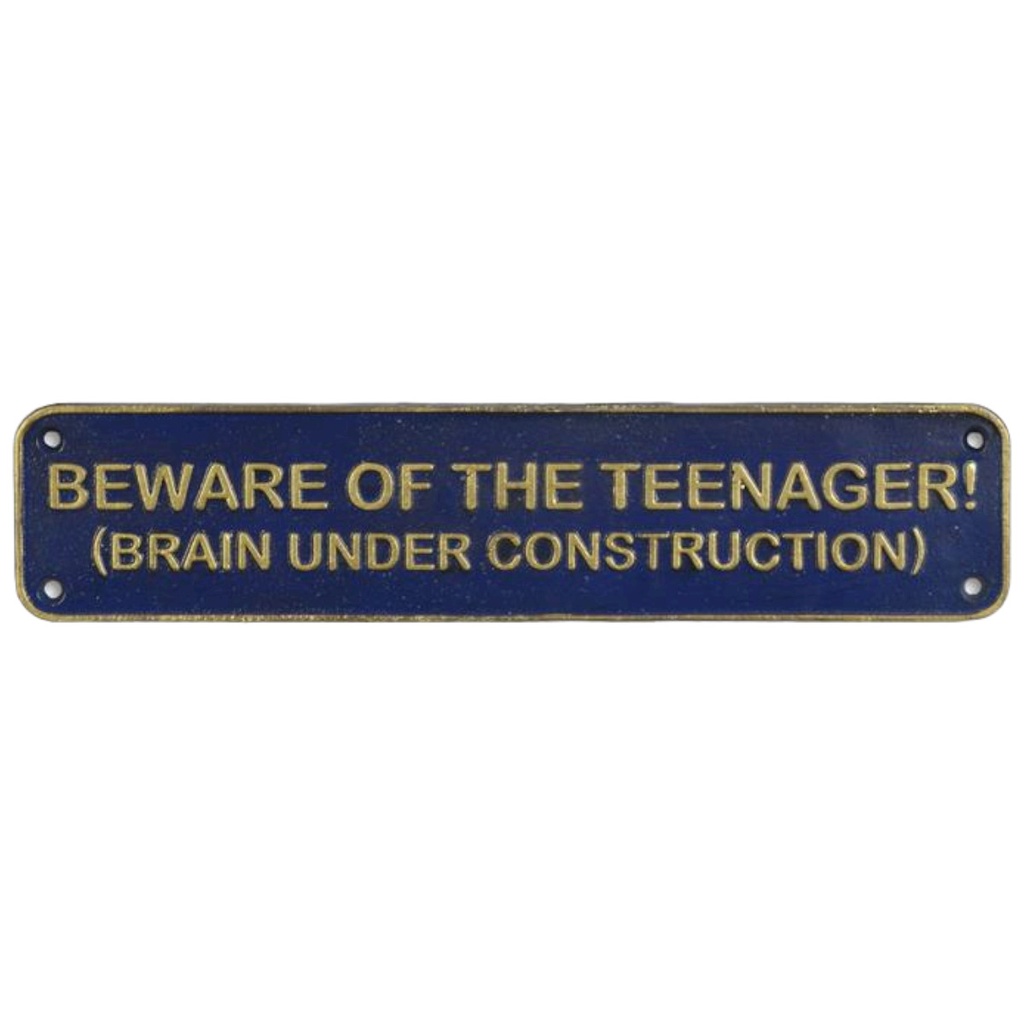 [LA-82612] Wandschild Wandplakette Gusseisen Beware Of The Teenager...