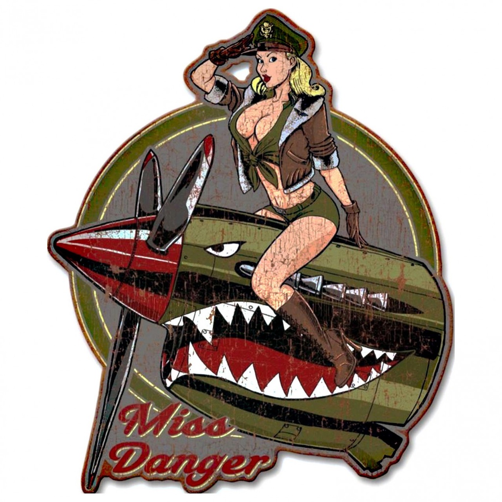 [LA-1821957] Geprägtes Blechschild Pin Up Miss Danger