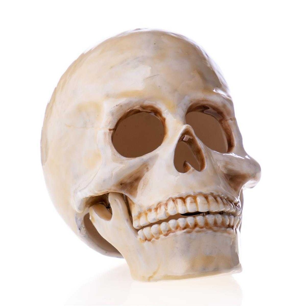 [LA-62528] Pillendose Pillendöschen Dose Döschen Schatulle Hartzinn Zinn emailliert Totenkopf