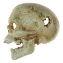 Gusseisen Flaschenöffner Skelett Totenkopf #63047